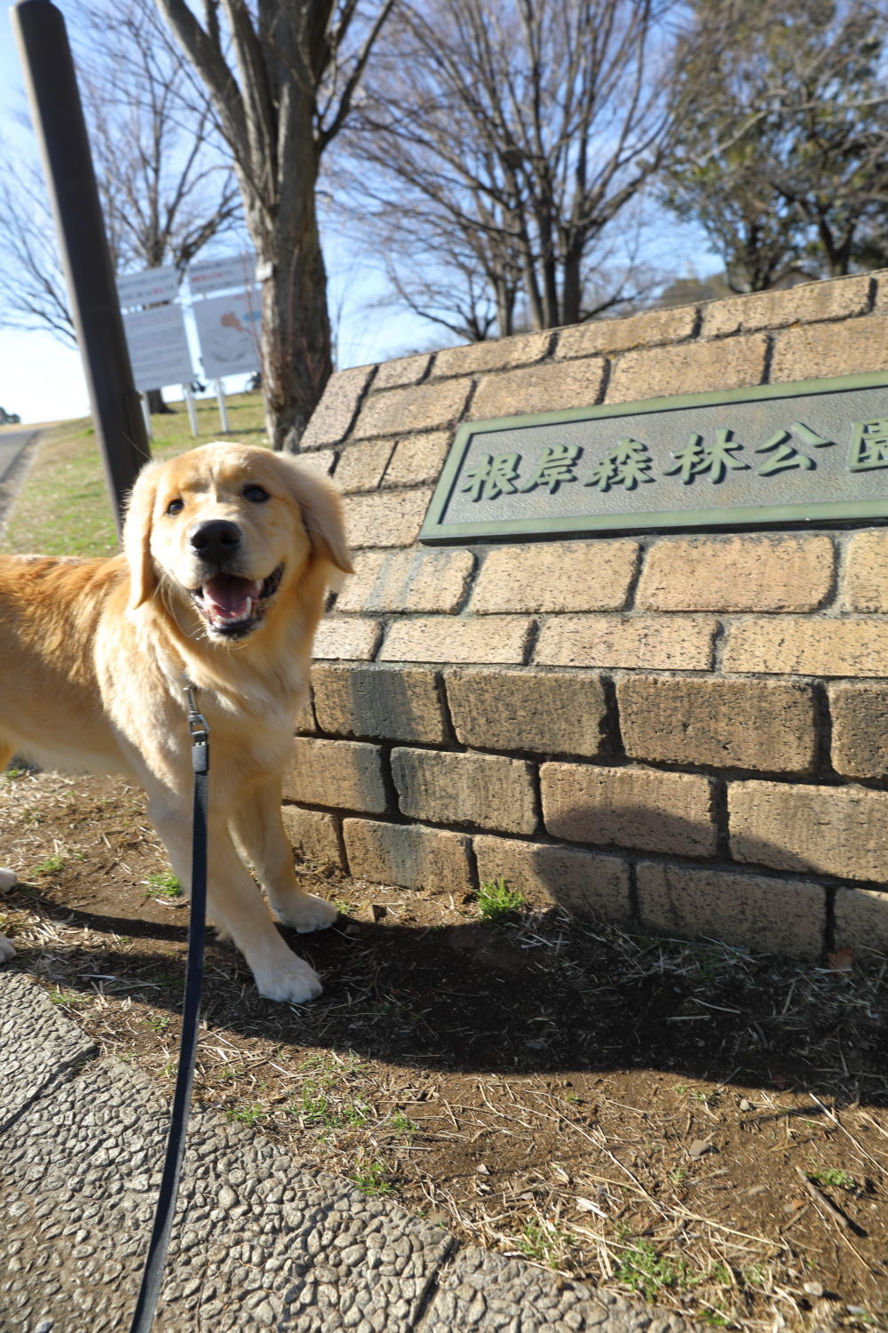 根岸森林公園と最終奥義♪_b0275998_08213888.jpg