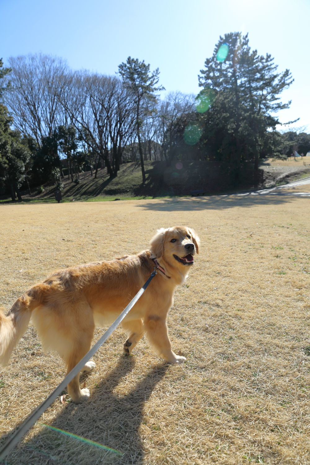 根岸森林公園と最終奥義♪_b0275998_08214208.jpg