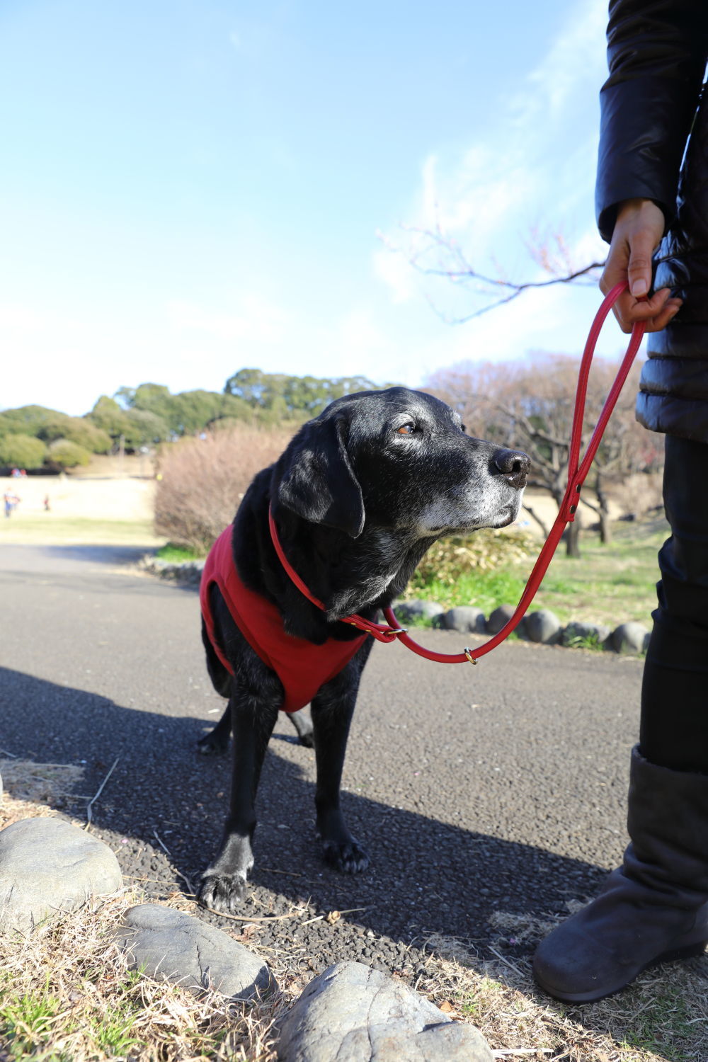 根岸森林公園と最終奥義♪_b0275998_08221122.jpg