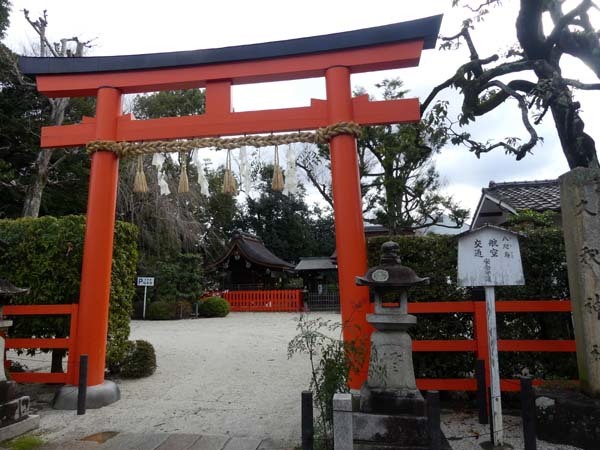 今日は立春　梅花開花_e0048413_21101179.jpg