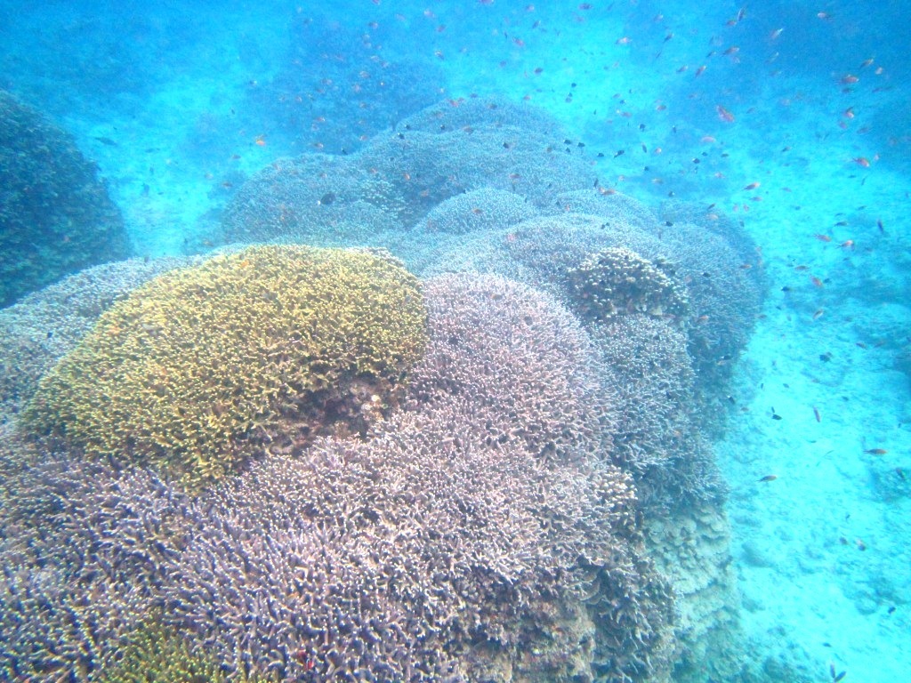 まるで初夏のような暖かさっ\(^o^)/_a0189838_22421472.jpg