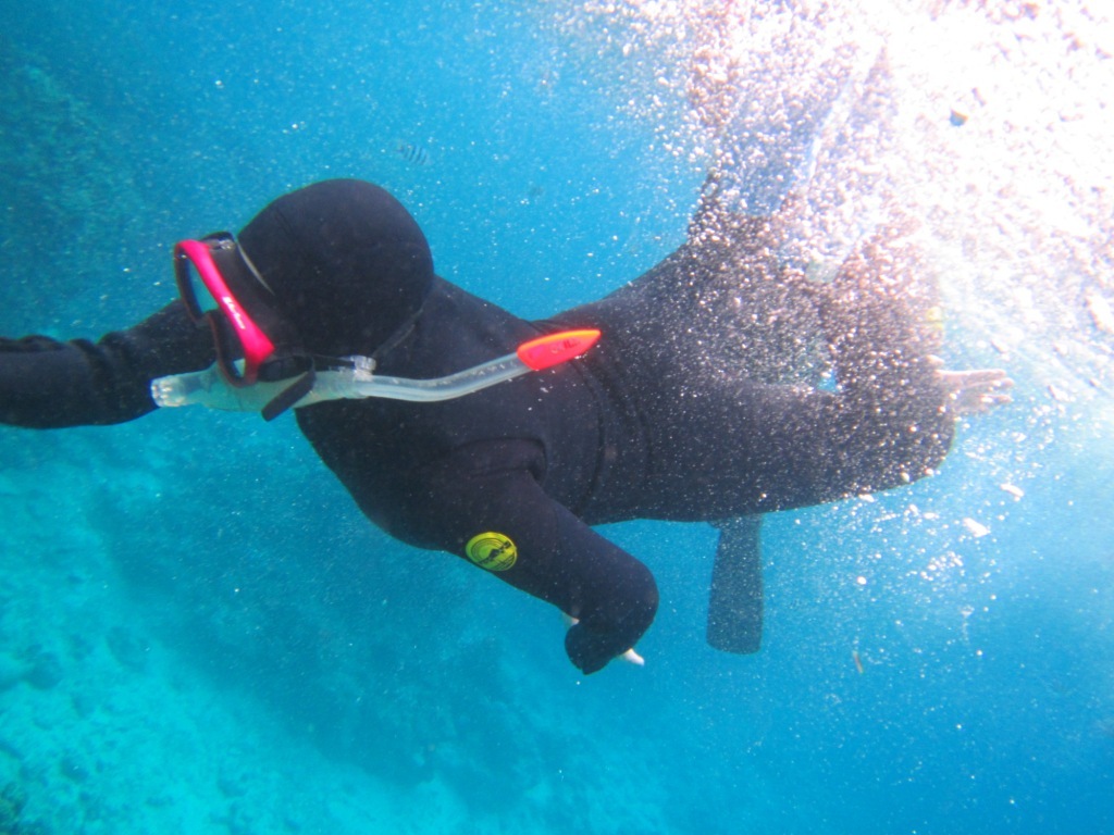 まるで初夏のような暖かさっ\(^o^)/_a0189838_22454590.jpg