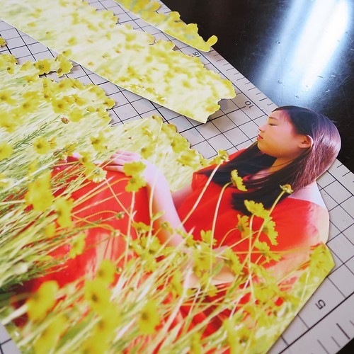『写真で作る飛び出す絵本ワークショップ』が楽しかった_c0060143_11535223.jpg