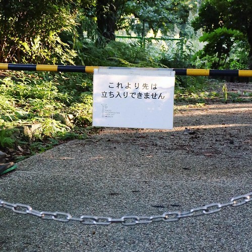 東京都庭園美術館_c0060143_12593972.jpg