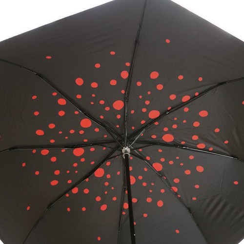 【AD】 雨傘・日傘兼用の八本骨折り畳み傘_c0060143_13263914.jpg