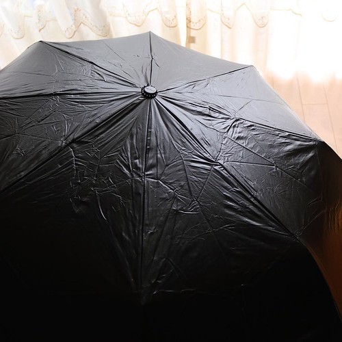 【AD】 雨傘・日傘兼用の八本骨折り畳み傘_c0060143_13263917.jpg