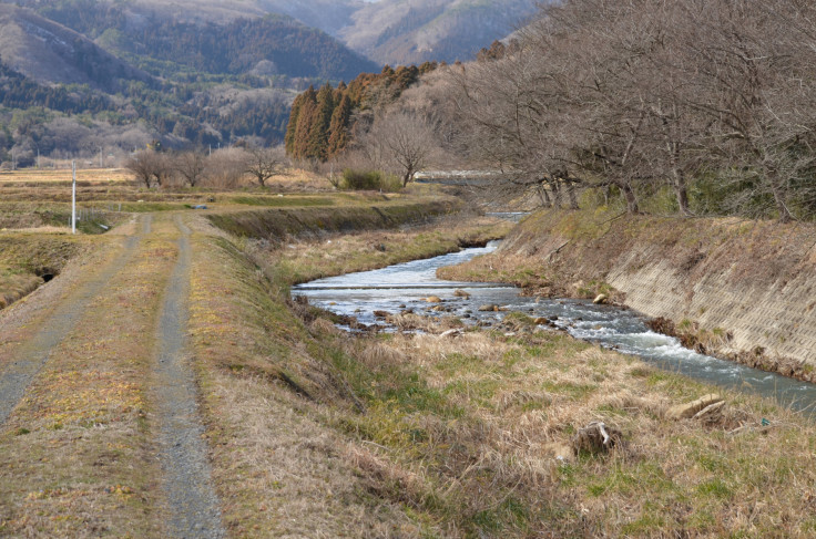 里川に集う自然の使者たち・・「笹原川上流」_d0283357_17165011.jpg