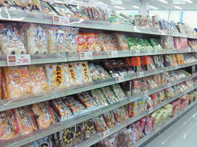 東京から新潟へ!高速バスの旅@2010夏の新潟旅行_c0152767_16591214.jpg