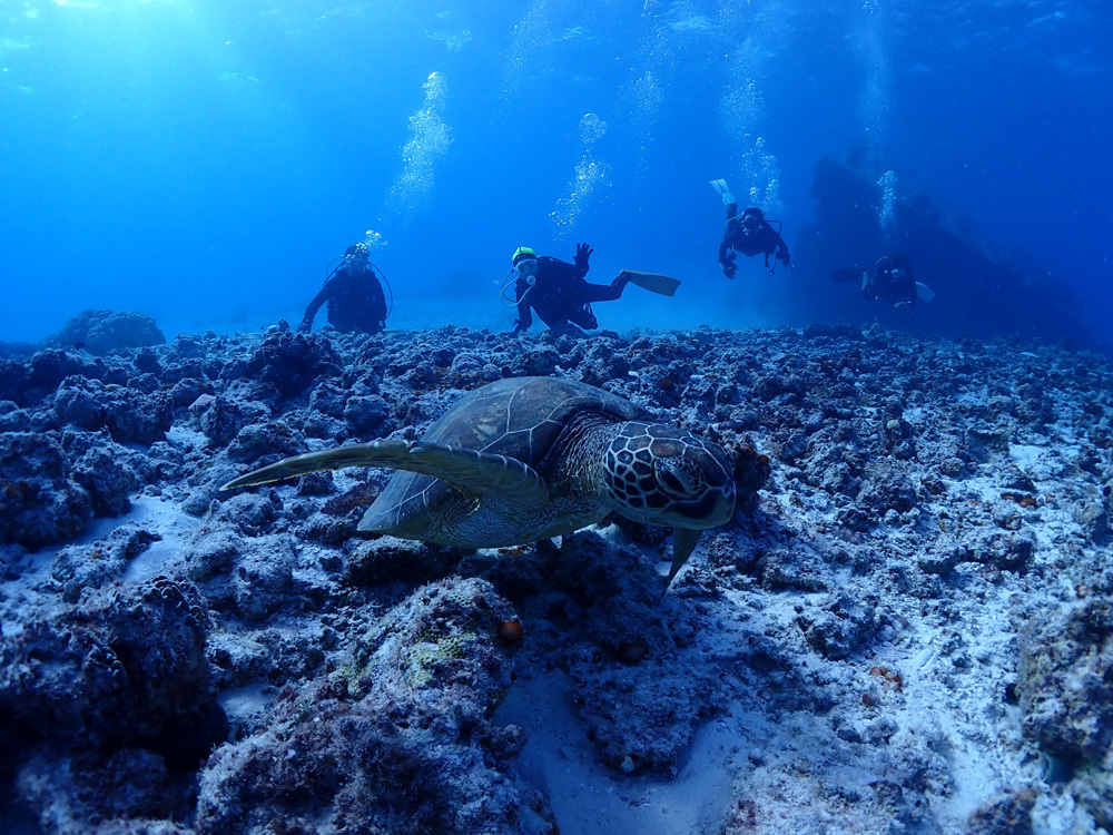 82歳ダイバー1000本を目指す!! SAIPAN_e0184067_13060944.jpg