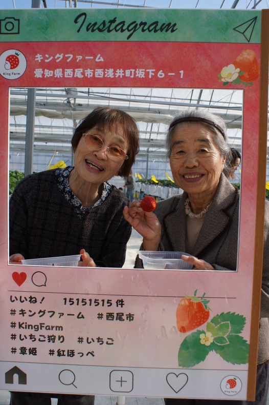 いちご狩り~穂の香~_f0220087_08254443.jpg