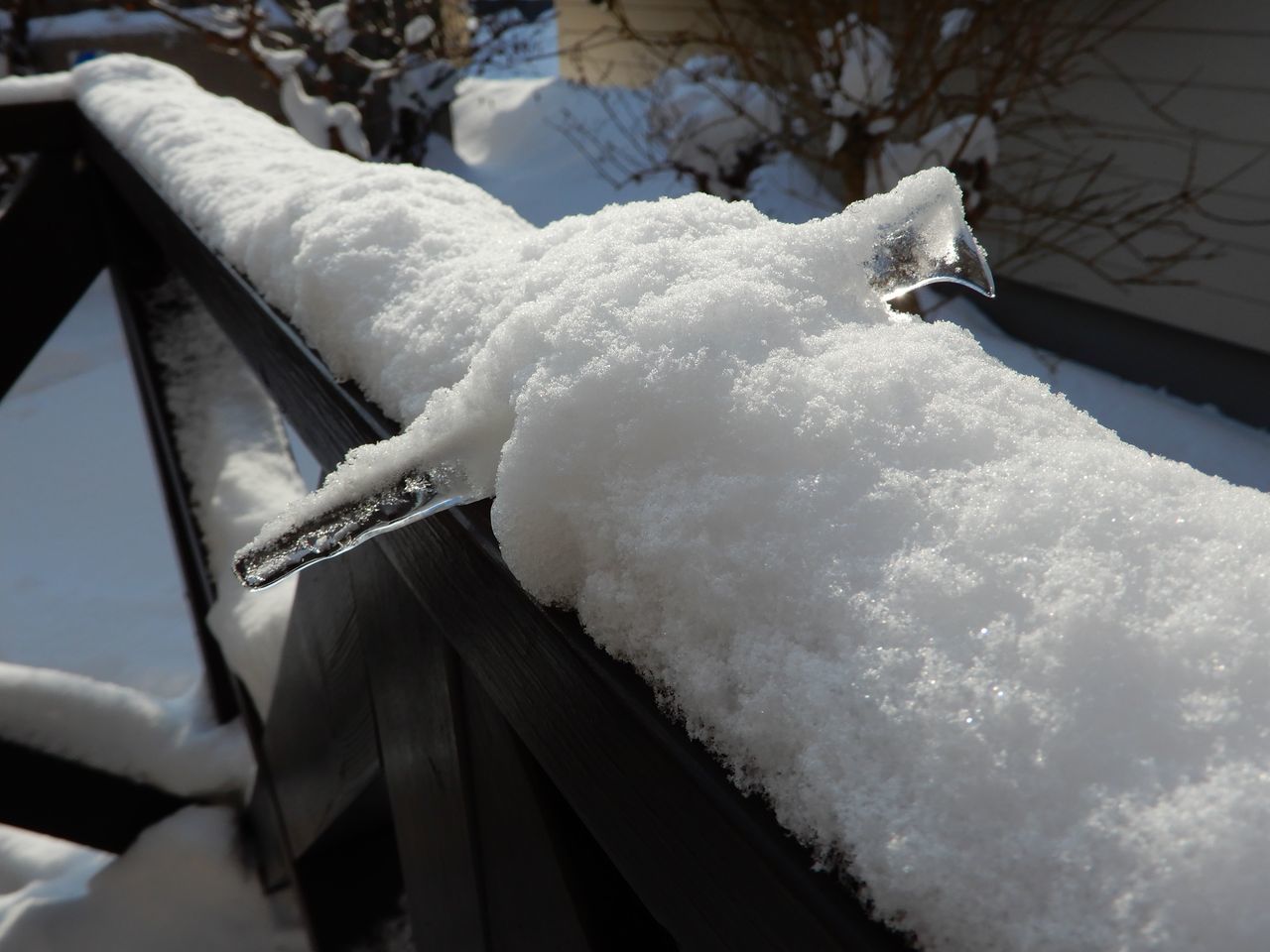 晴れのち大雪_c0025115_21352231.jpg