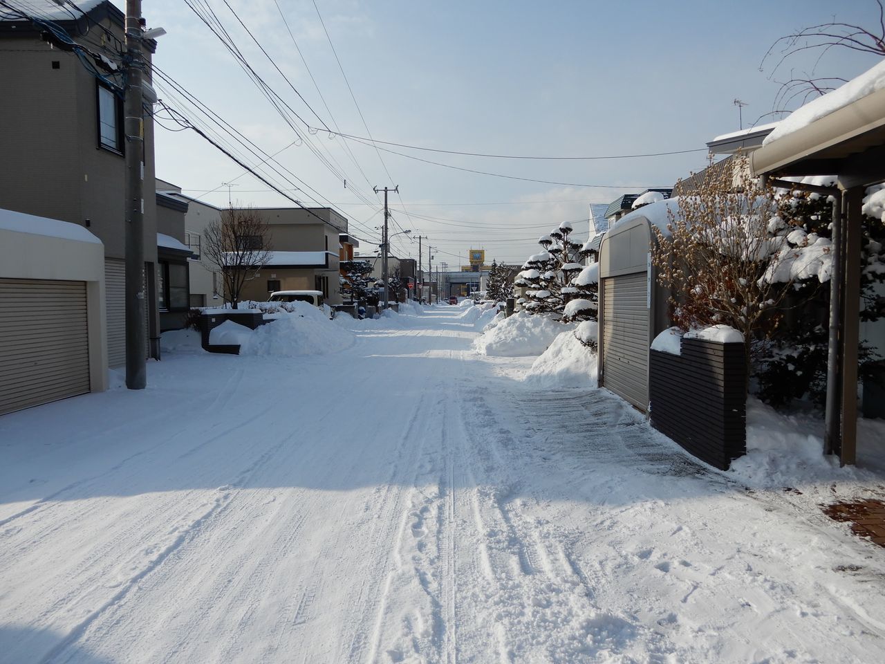 晴れのち大雪_c0025115_21380049.jpg
