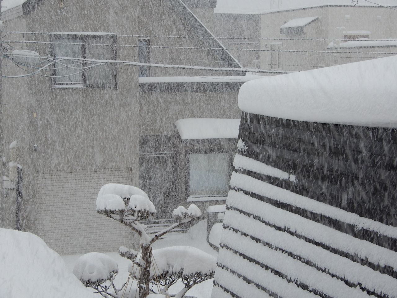 晴れのち大雪_c0025115_21432911.jpg