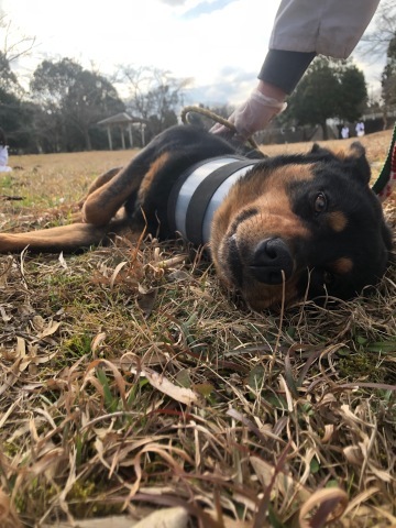 _f0078320_11063186.jpeg