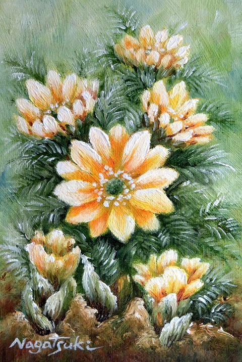 福寿草の油絵_b0089338_01081603.jpg