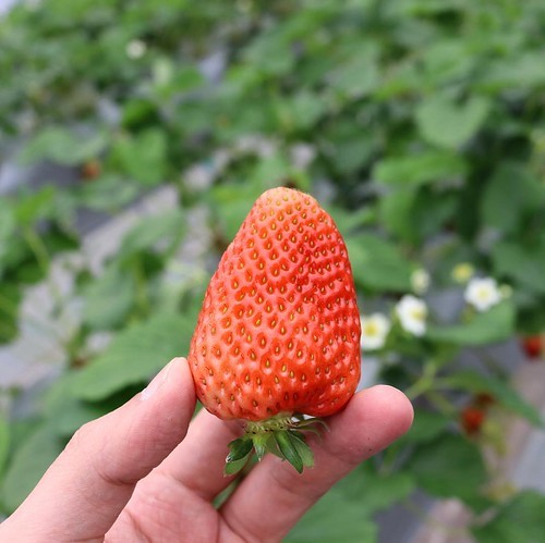 「食」について_c0060143_01100563.jpg