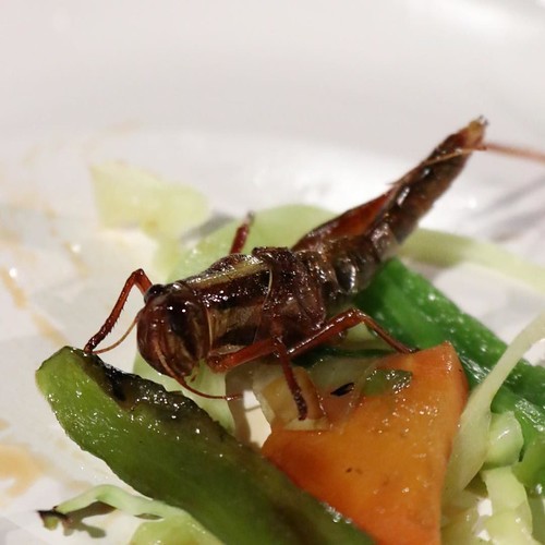 「食」について_c0060143_01111656.jpg
