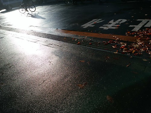 雨上がりの写真散歩_c0060143_18391248.jpg