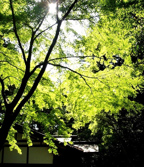 【熊野古道・伊勢路】一気参拝旅⑥（最終編）：「猿田彦神社」～「熱田神宮」＆日本神話の謎_c0119160_04312976.jpg