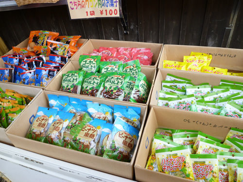 リトルワールド・01@岐阜でごはん2013冬_c0152767_11585072.jpg