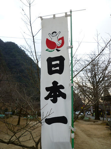 愛知県犬山市にある超B級スポット、桃太郎神社へ行って来た@岐阜でごはん2013冬_c0152767_14222254.jpg
