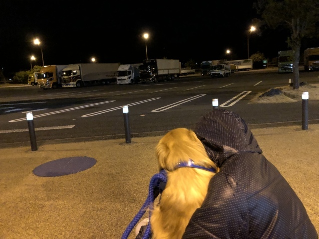 愛犬、幸せの極み_a0394574_23423978.jpeg