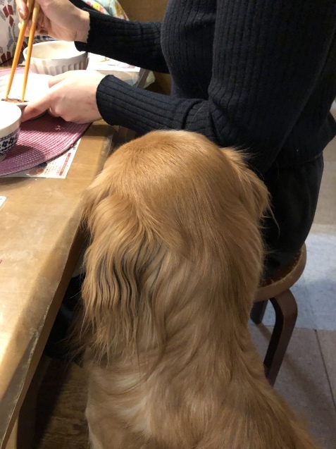 愛犬、幸せの極み_a0394574_23481204.jpeg