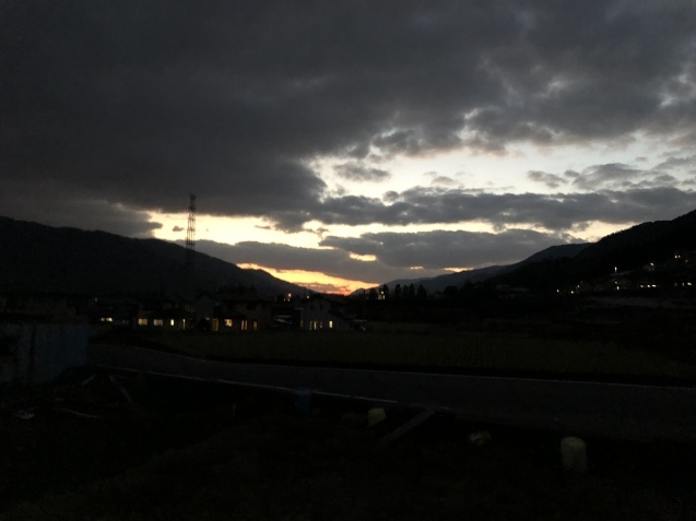 愛犬、幸せの極み_a0394574_23520909.jpeg