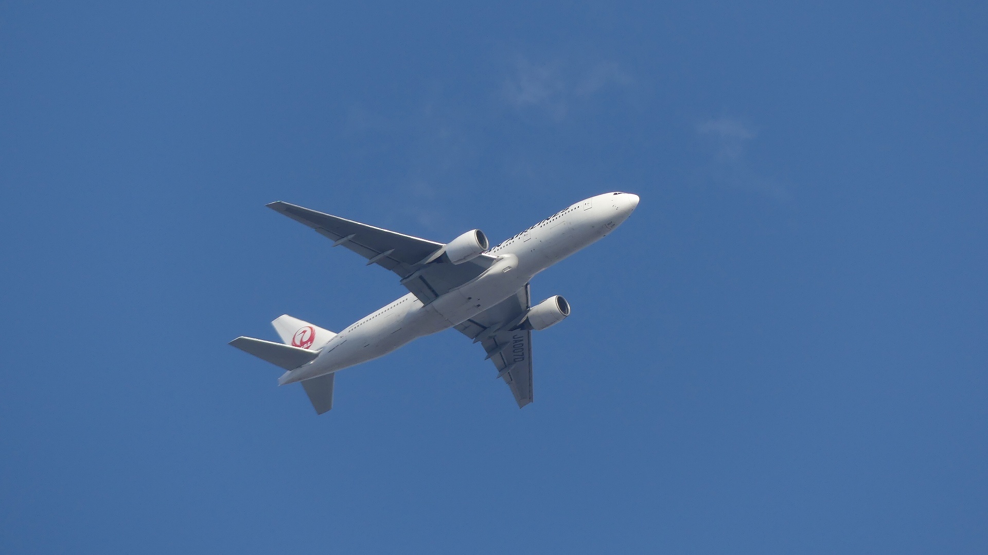 スカイブルー 【 2020 2/5(水) 】_a0185081_16384518.jpg