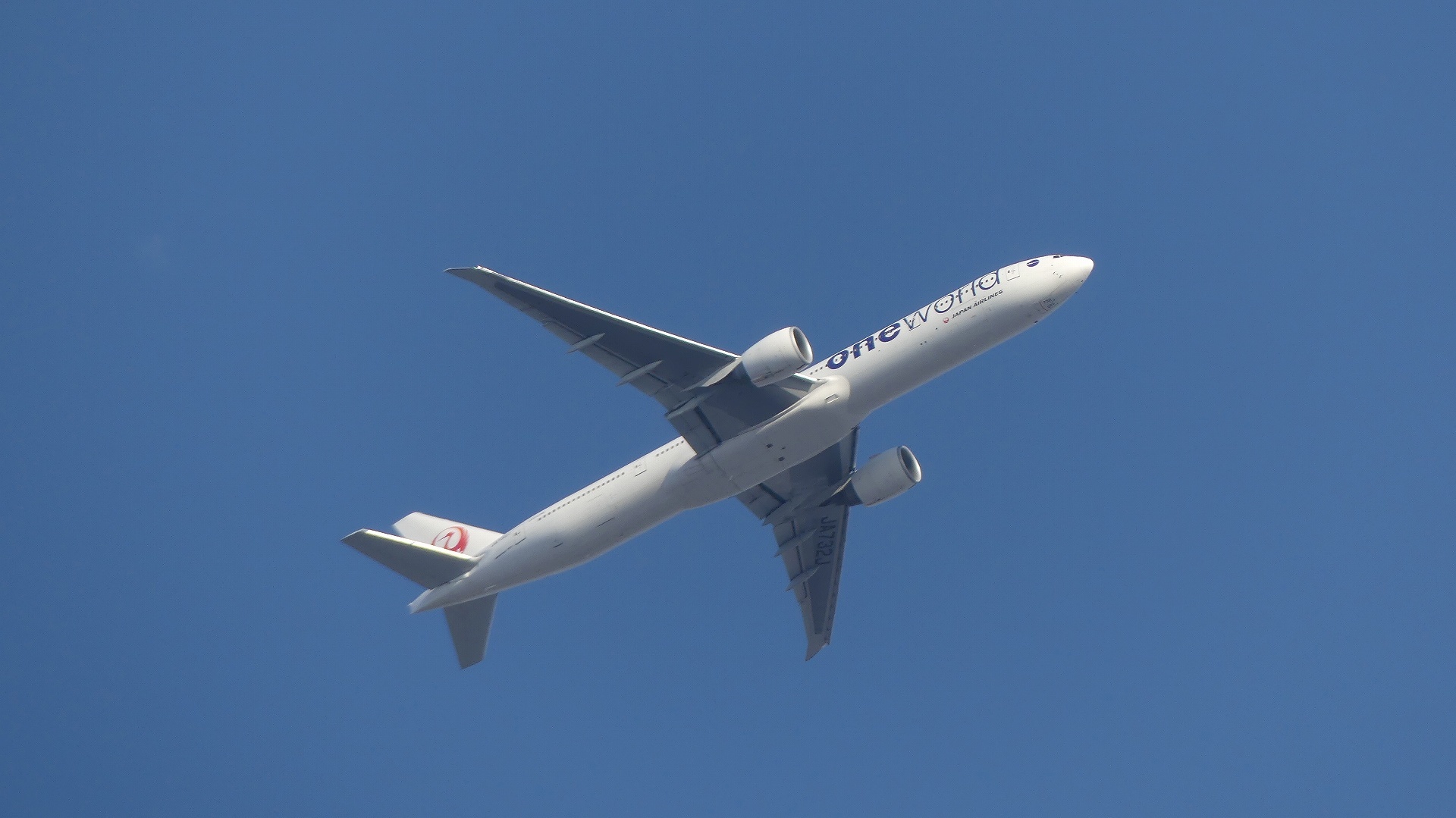スカイブルー 【 2020 2/5(水) 】_a0185081_16401581.jpg