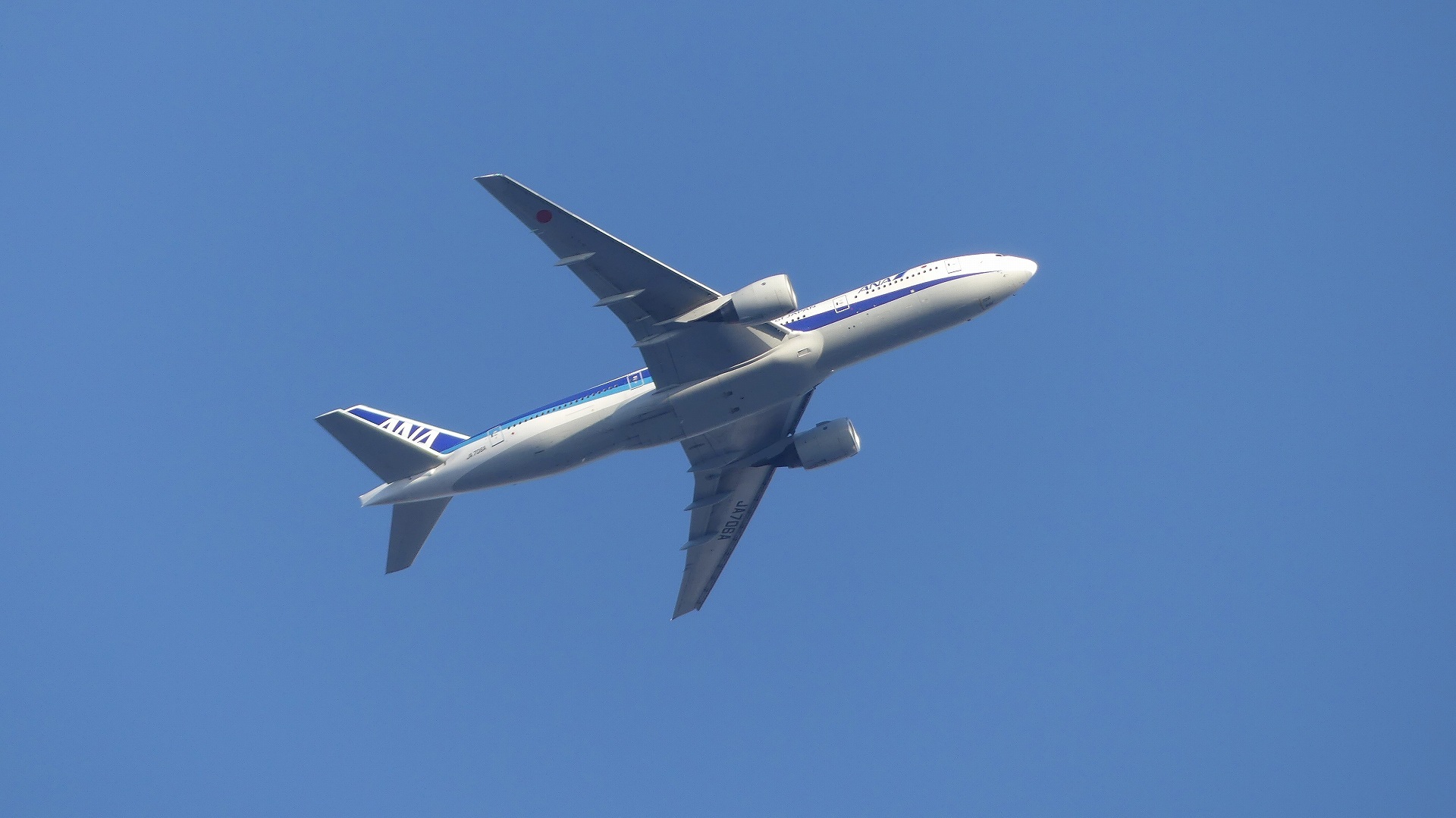 スカイブルー 【 2020 2/5(水) 】_a0185081_16410252.jpg