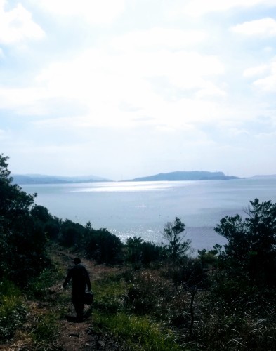 長崎の海で釣り_d0195183_00452667.jpg