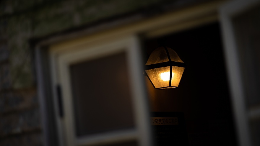 真冬の英国庭園_d0353489_17272934.jpg