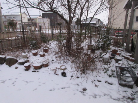 真冬日・消雪パイプ_a0203003_17511597.jpg
