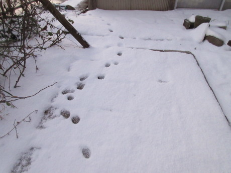 真冬日・消雪パイプ_a0203003_17513187.jpg