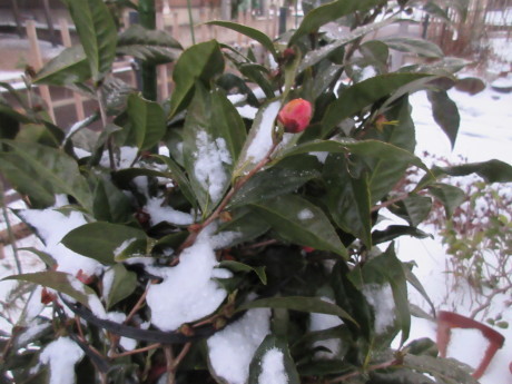 真冬日・消雪パイプ_a0203003_17514348.jpg