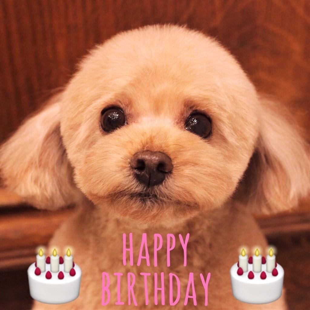 ☆ Happy Birthday ・ 愛里ちゃん ☆_d0060413_16545960.jpg