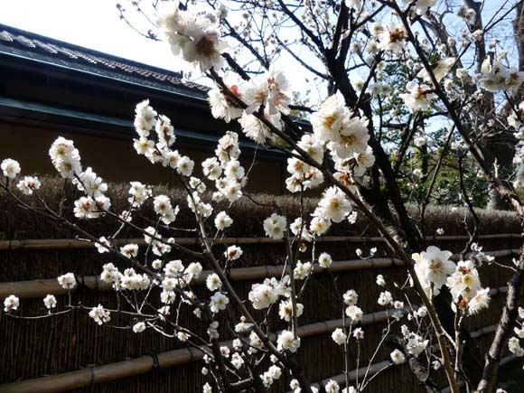 松花堂庭園_e0048413_15160076.jpg