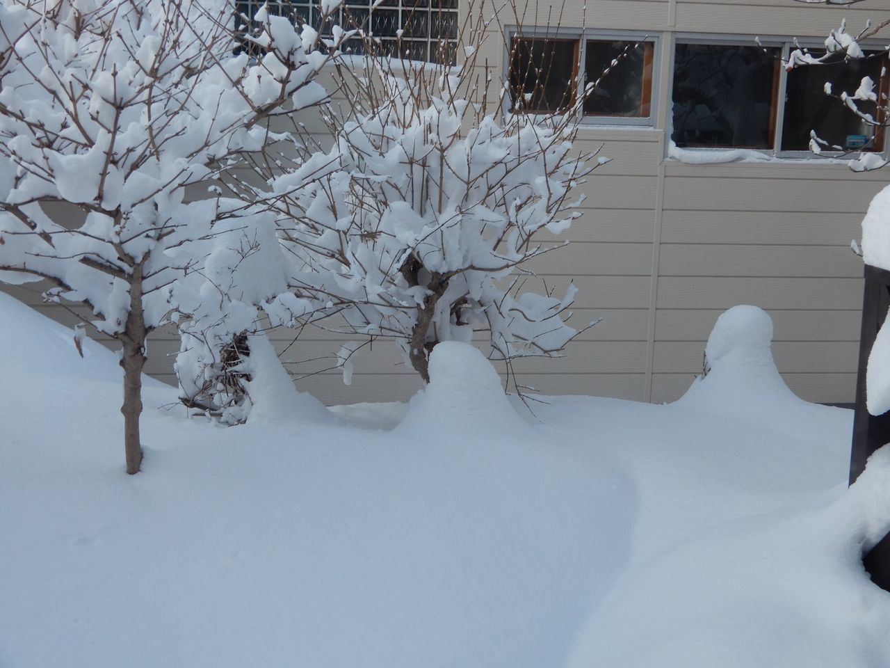 今季一番の冷え込みと一番のドカ雪_c0025115_22191638.jpg