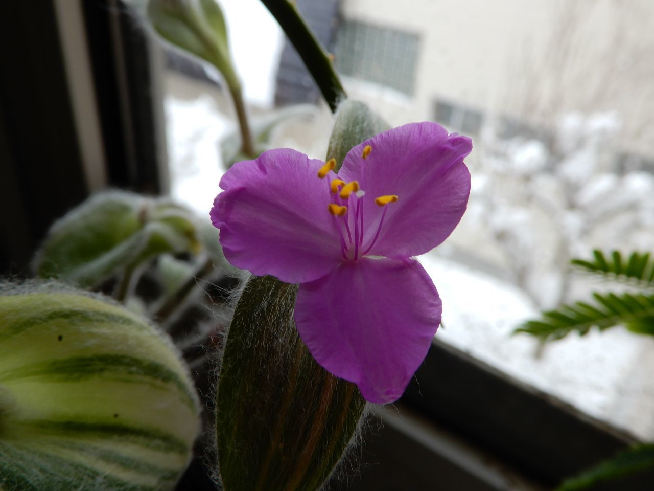 今季一番の冷え込みと一番のドカ雪_c0025115_22290144.jpg