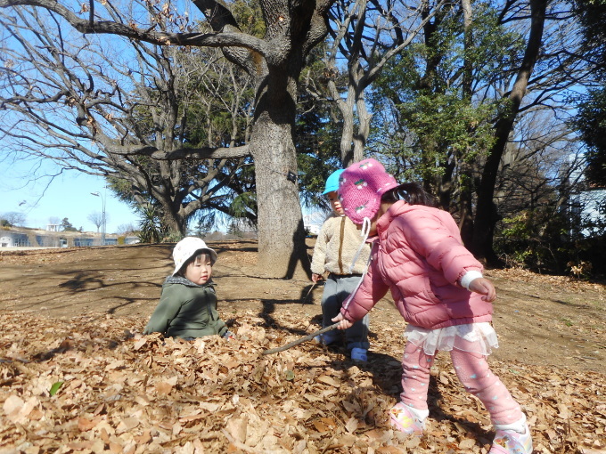 北風ピューピュー!_d0148342_13152670.jpg