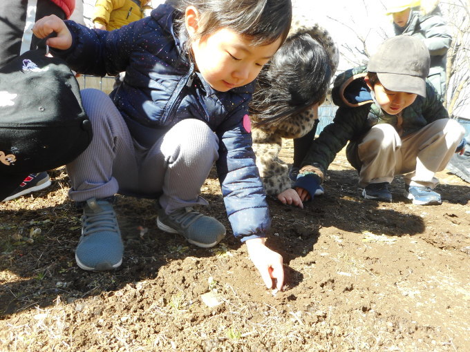 北風ピューピュー!_d0148342_13154750.jpg