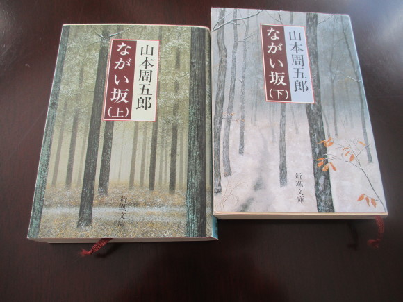 寒い日になった~&読書_a0279743_14350957.jpg