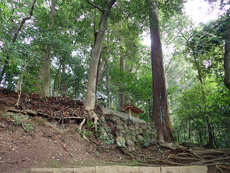 物部神社の節分祭_f0214649_08142049.jpg