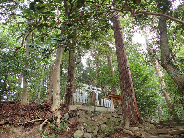 物部神社の節分祭_f0214649_08142752.jpg