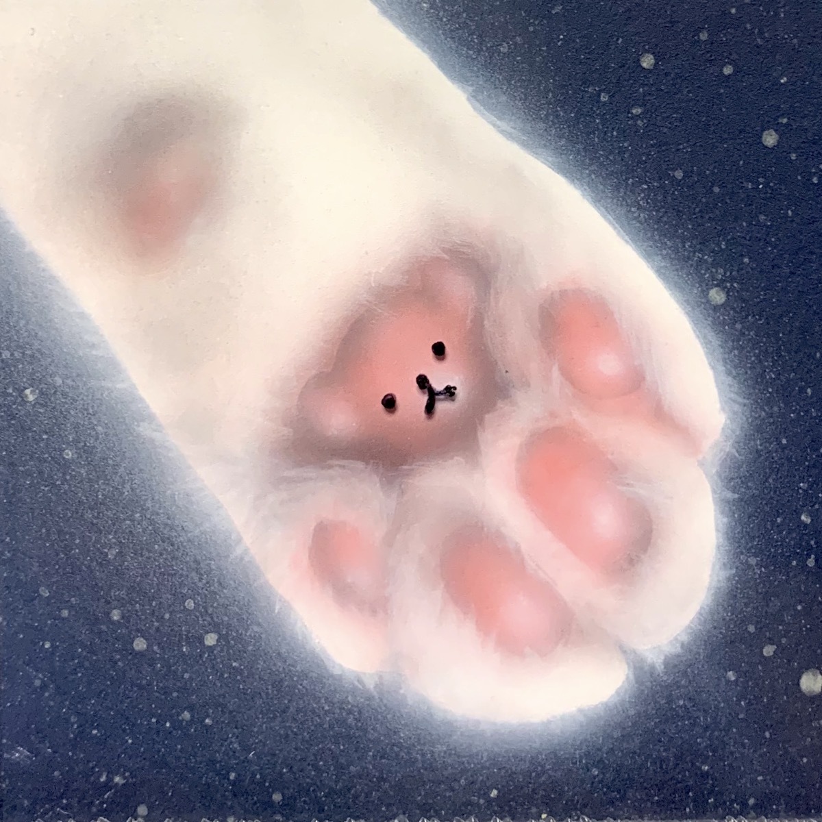 毎日一絵チャレンジ アクリル画 星空の肉球 ねこ手ディベア メイキング 子猫の絵 Junya Blog 猫 犬 リアリズム絵画 毎日一絵チャレンジ アクリル画 星空の肉球 ねこ手ディベア メイキング 子猫の絵 Junya Blog 猫 犬 リアリズム絵画