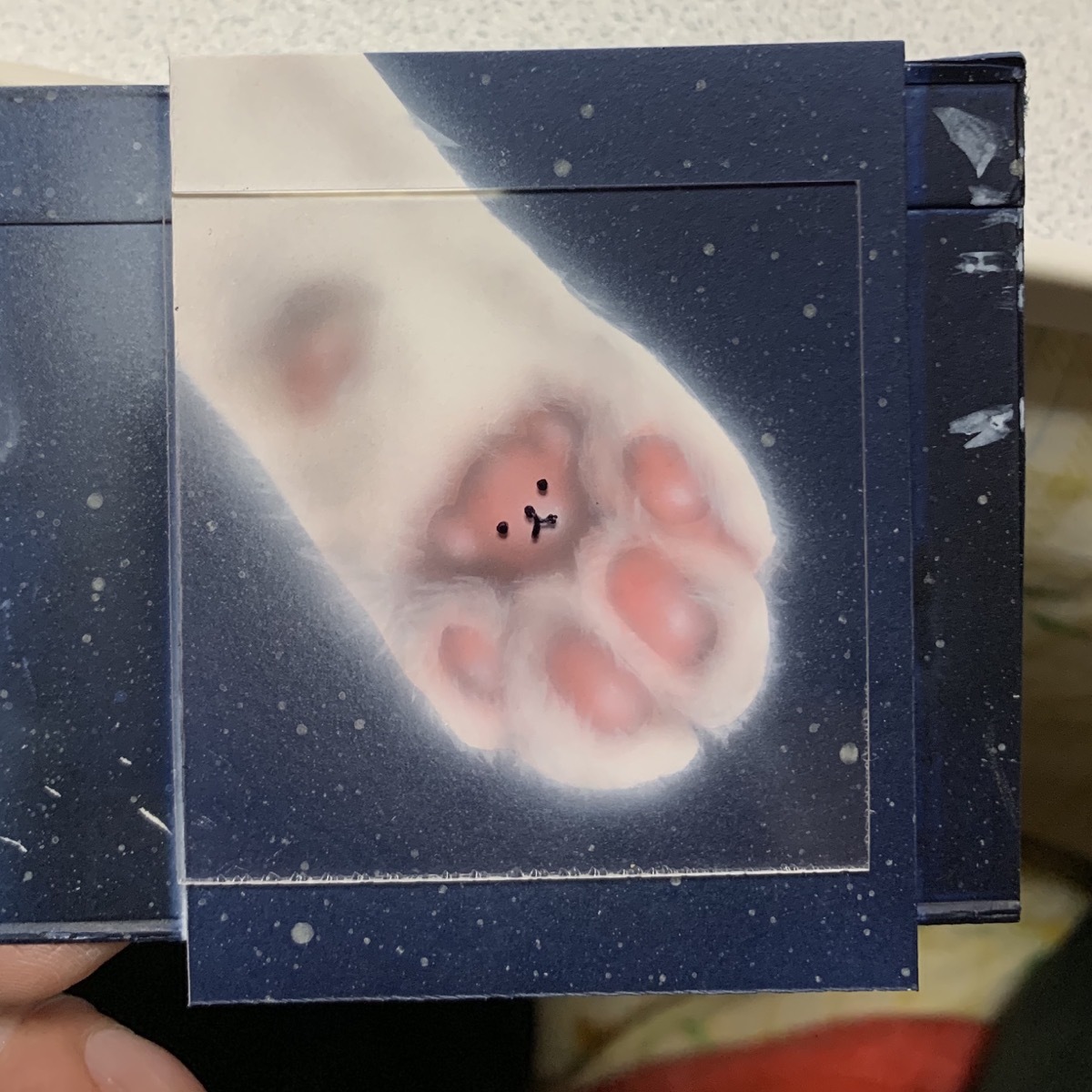 毎日一絵チャレンジ アクリル画 星空の肉球 ねこ手ディベア メイキング 子猫の絵 Junya Blog 猫 犬 リアリズム絵画 毎日一絵チャレンジ アクリル画 星空の肉球 ねこ手ディベア メイキング 子猫の絵 Junya Blog 猫 犬 リアリズム絵画