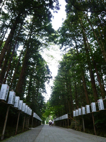 パワースポット、弥彦神社へ＠2011夏の新潟旅行_c0152767_12464091.jpg