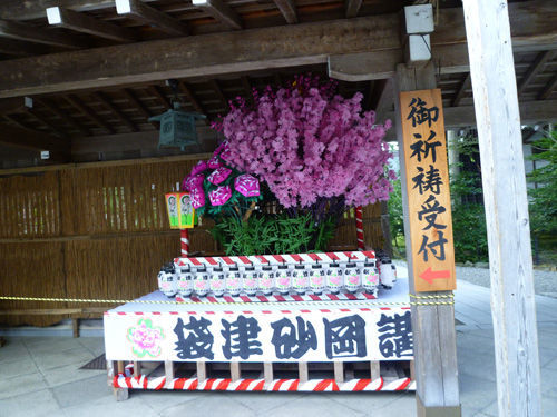 パワースポット、弥彦神社へ＠2011夏の新潟旅行_c0152767_12503484.jpg