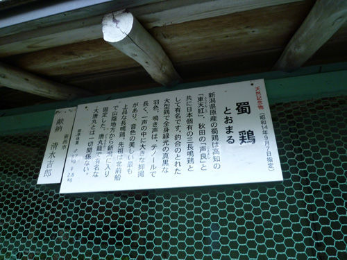 弥彦神社の境内にある鹿苑＠2011夏の新潟旅行_c0152767_13000148.jpg